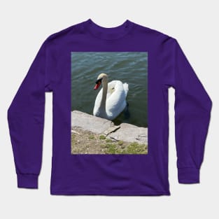 Swan Lake Long Sleeve T-Shirt